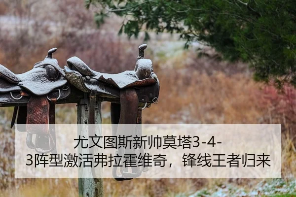 尤文图斯新帅莫塔3-4-3阵型激活弗拉霍维奇，锋线王者归来