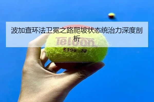 bo-jia-cha-huan-fa-wei-mian-zhi-lu-pa-po-zhuang-tai-tong-zhi-li-shen-du-pou-xi-2-949.jpg