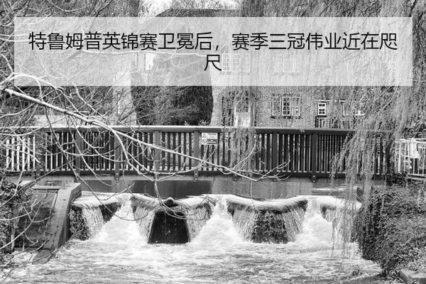 te-lu-mu-pu-ying-jin-sai-wei-mian-hou-sai-ji-san-guan-wei-ye-jin-zai-zhi-chi-3-139.jpg