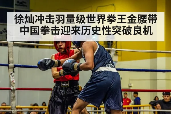 徐灿冲击羽量级世界拳王金腰带 中国拳击迎来历史性突破良机